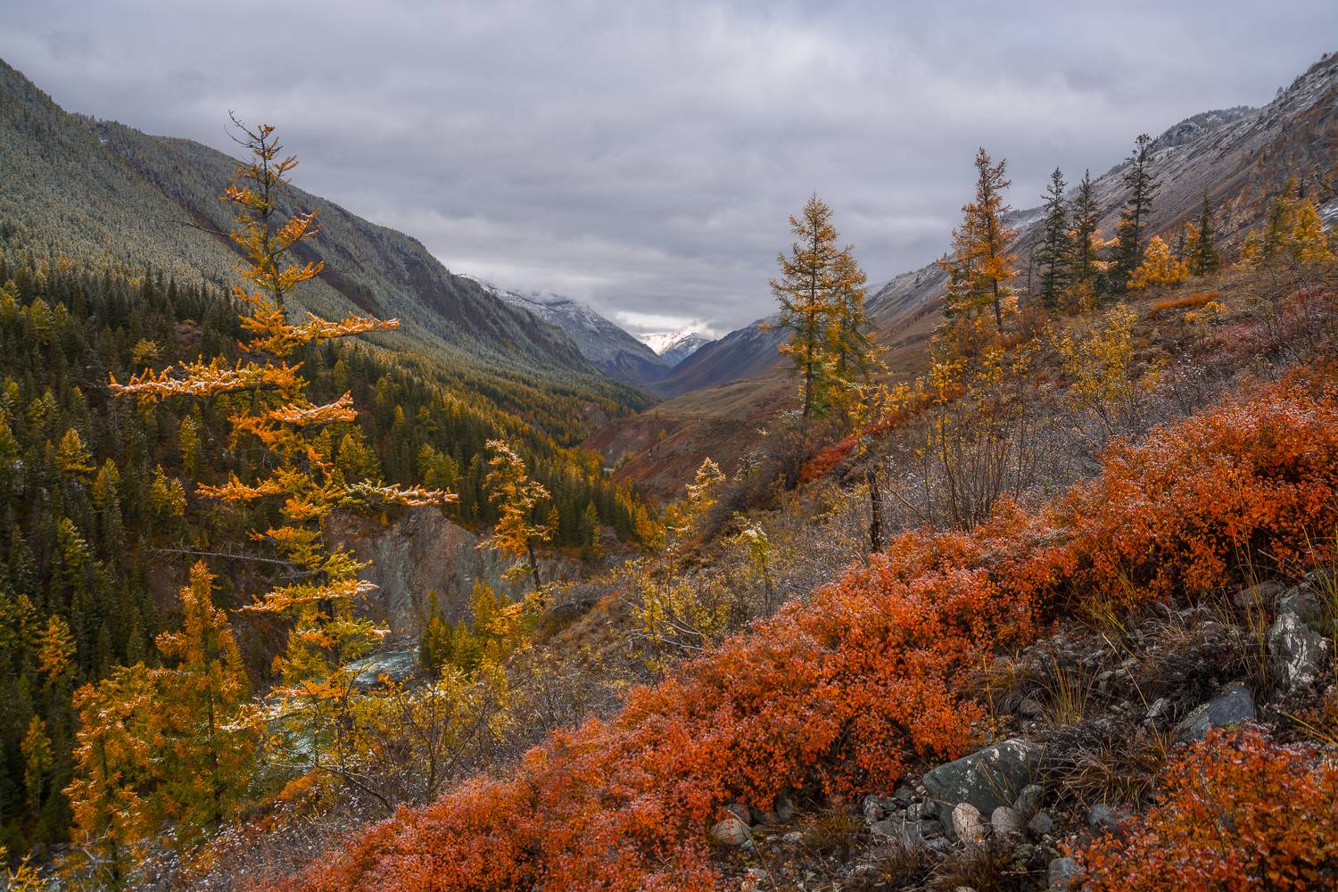 россия, горный алтай,утро,осень, Андрей Поляков
