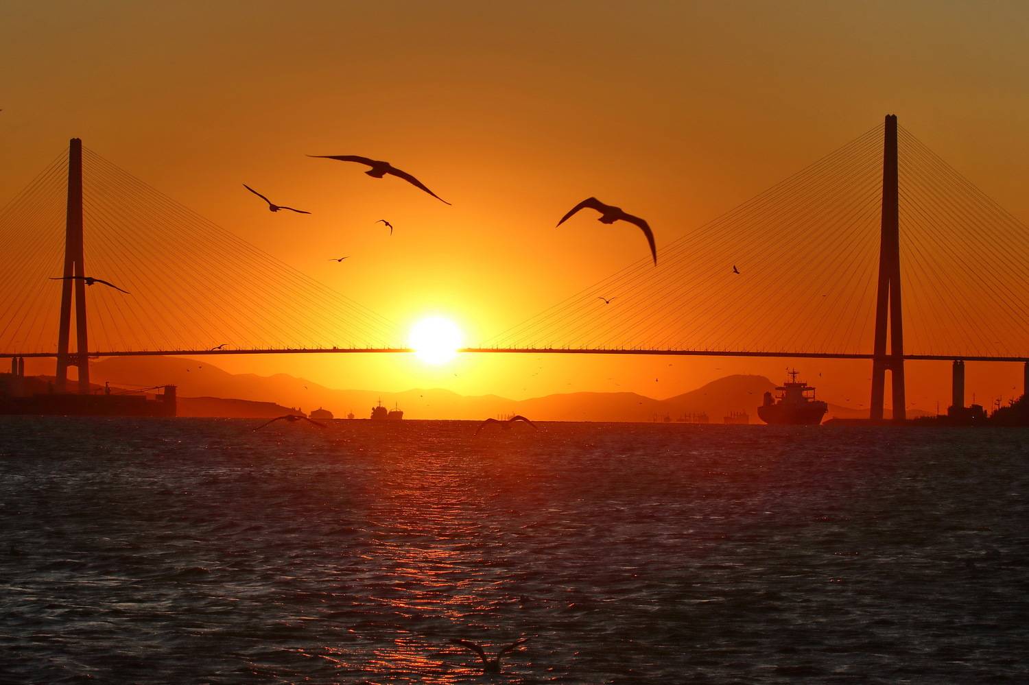 , Добролюбова Тамара