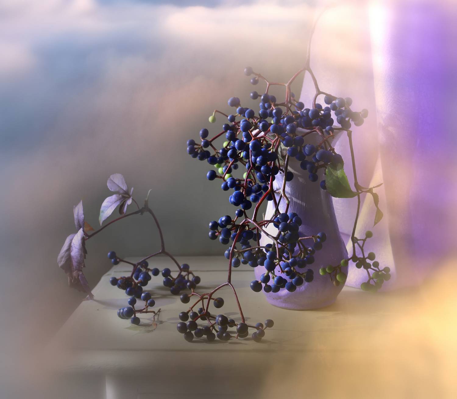 лиана,свет,ягода,осень, Инаида