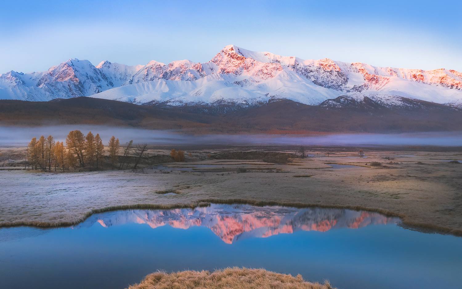 , Владимир Поляков