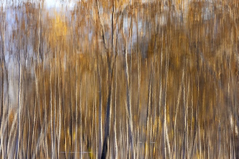 Отражение фото превью