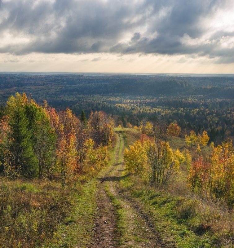 Дорога в осеннюю тайгу фото превью