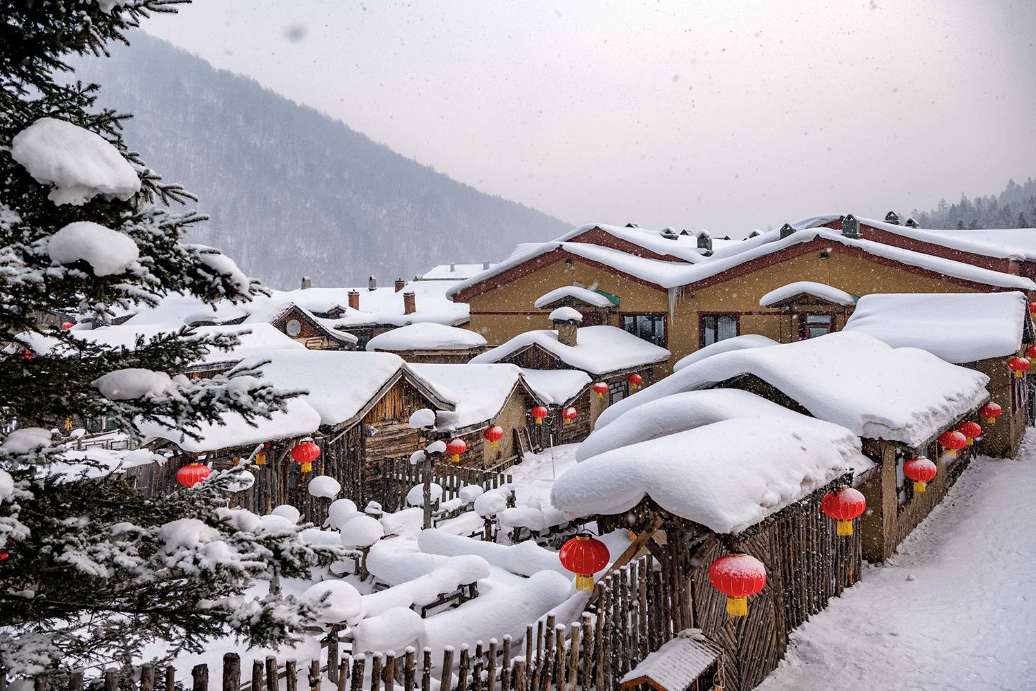 , Кирина Елизавета