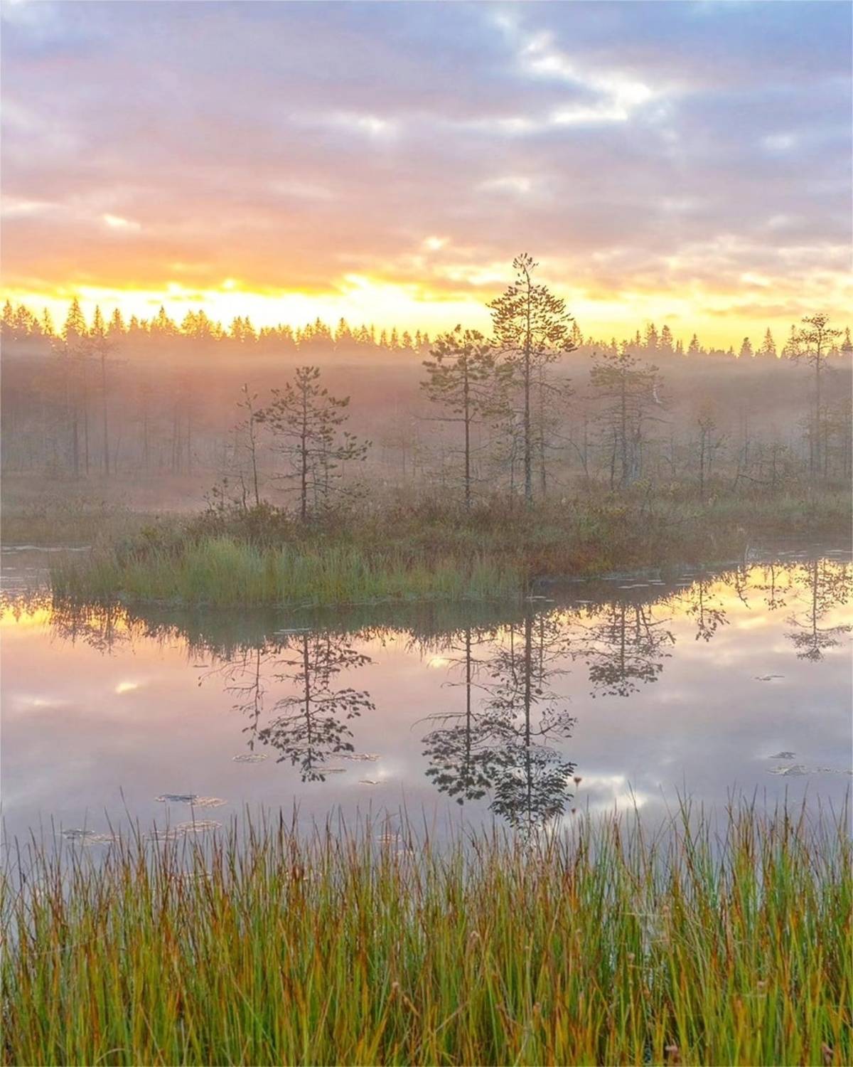 , Петр Косых