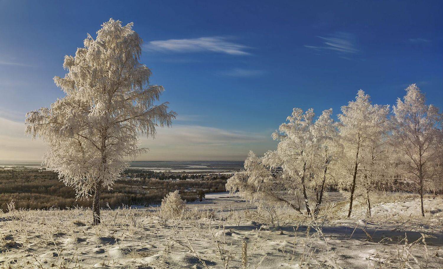 , Алексей Хахлов