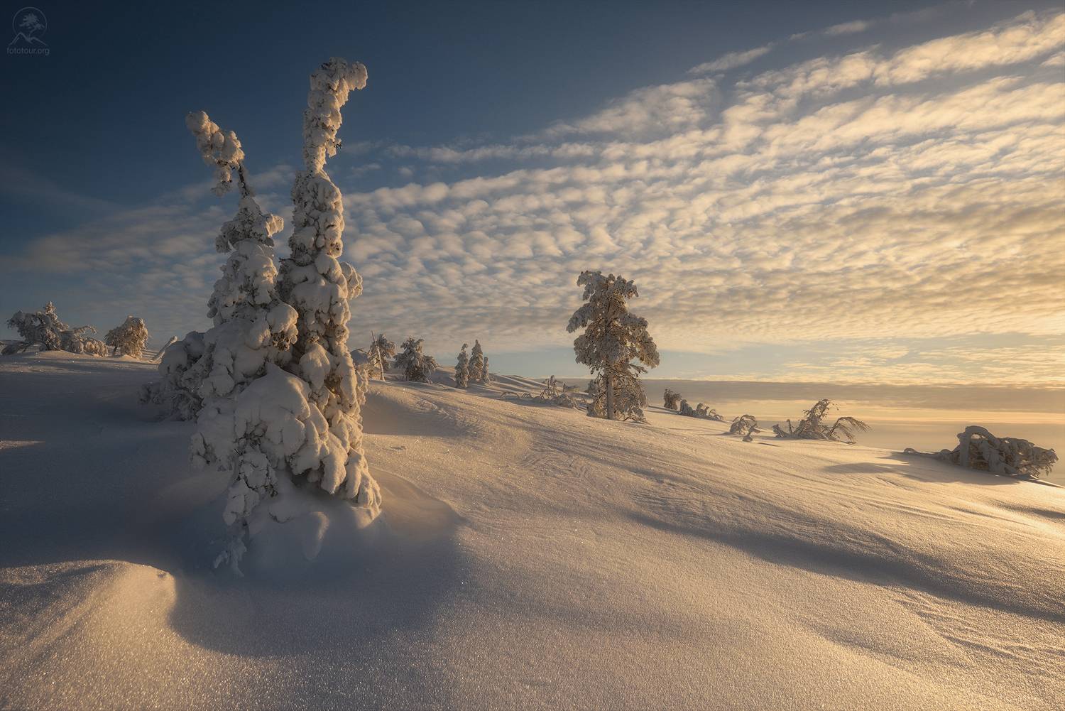 кольский, зима, фототур на кольский, мурманская область, волосяная, зимний кольский, кандалакша, Гордиенко Анатолий