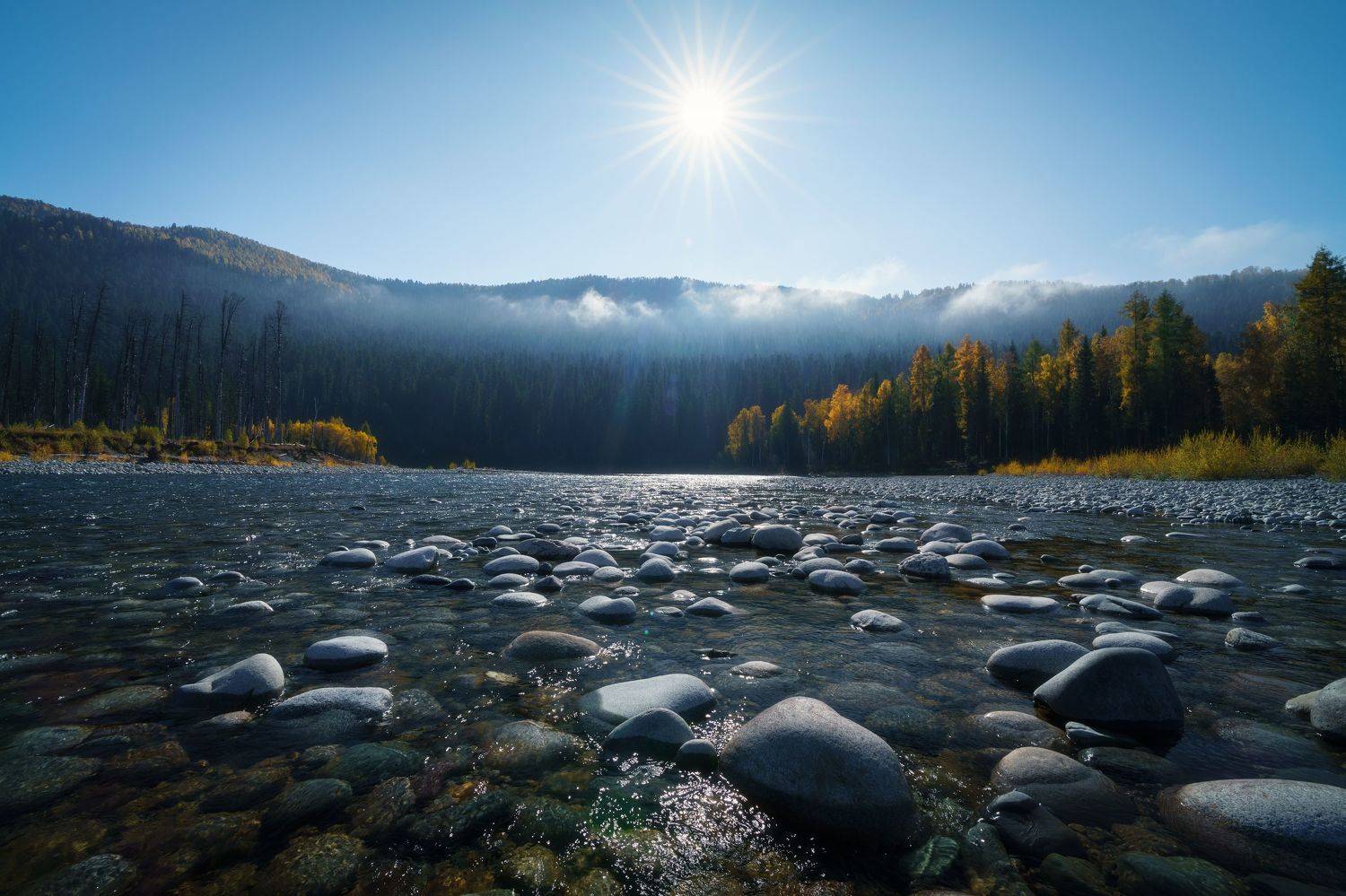 , Nikitin Alexander