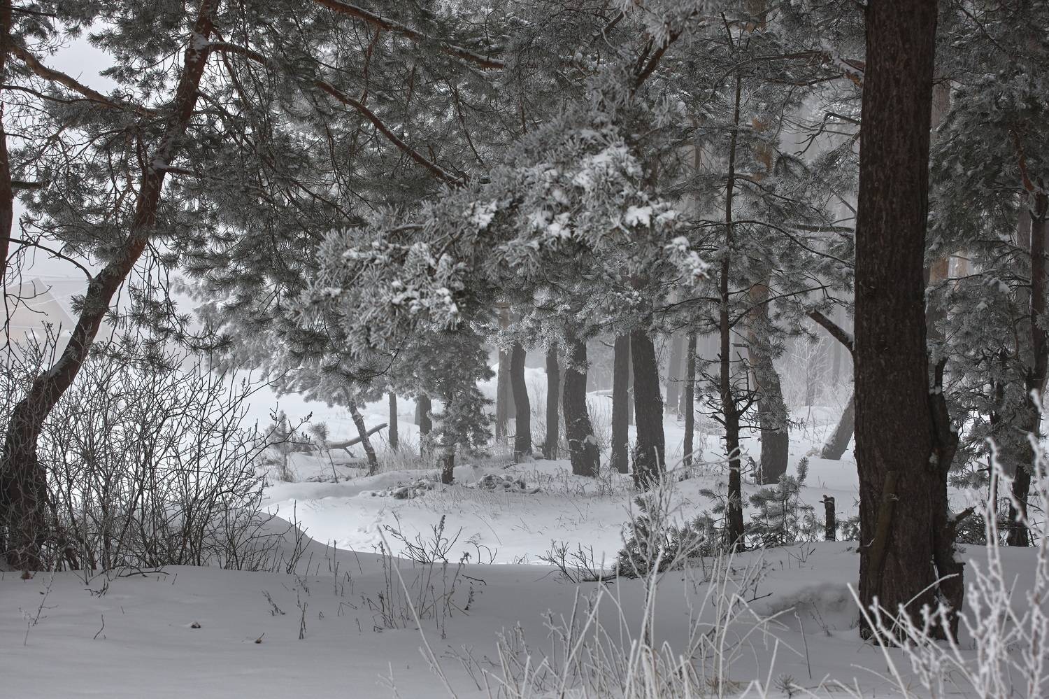 , Владимир Краснов