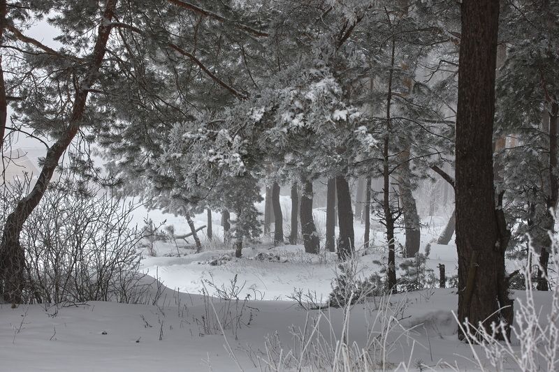 В начале зимы. фото превью