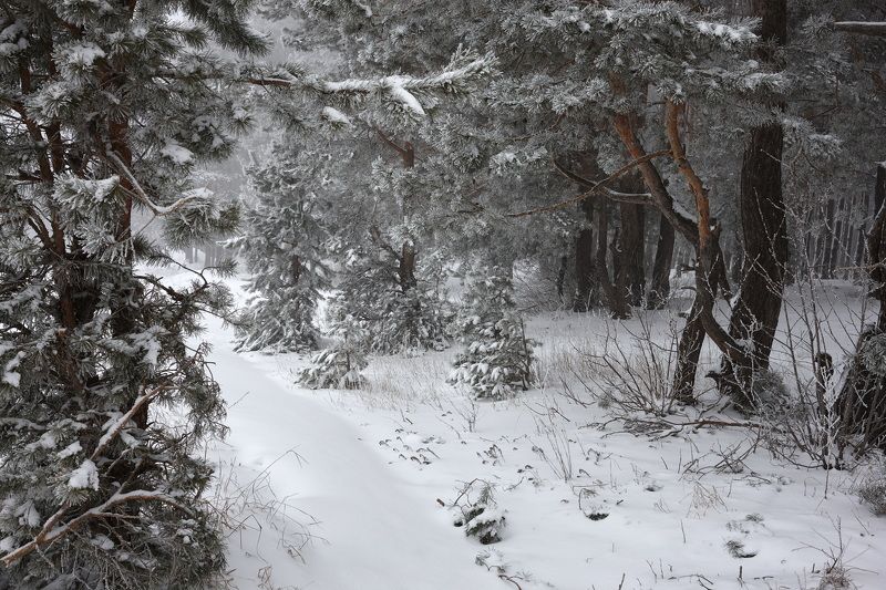 В начале зимы 2 фото превью
