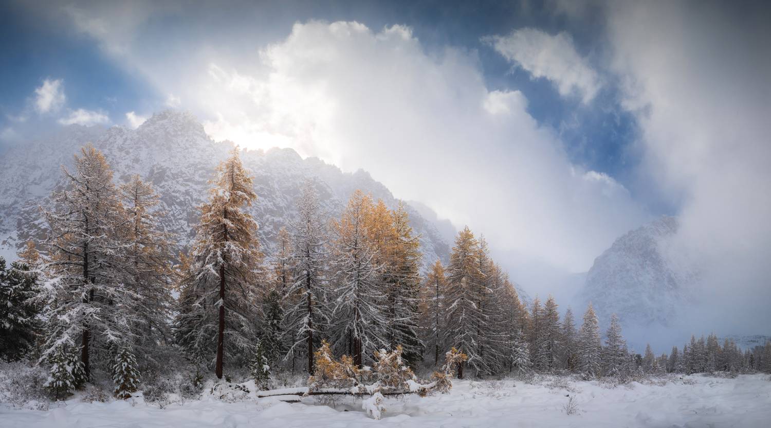 алтай, горный алтай, пейзажи алтая, кош-агачский район, актру, золотая осень, горы, осенний алтай, горная тайга, первый снег, ак-туру, Рубан Алена