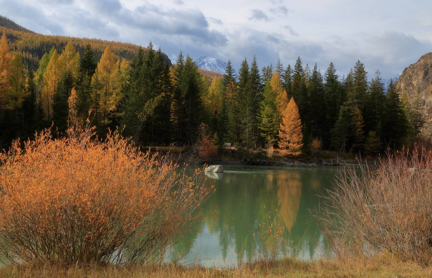 , Евгений Зинов