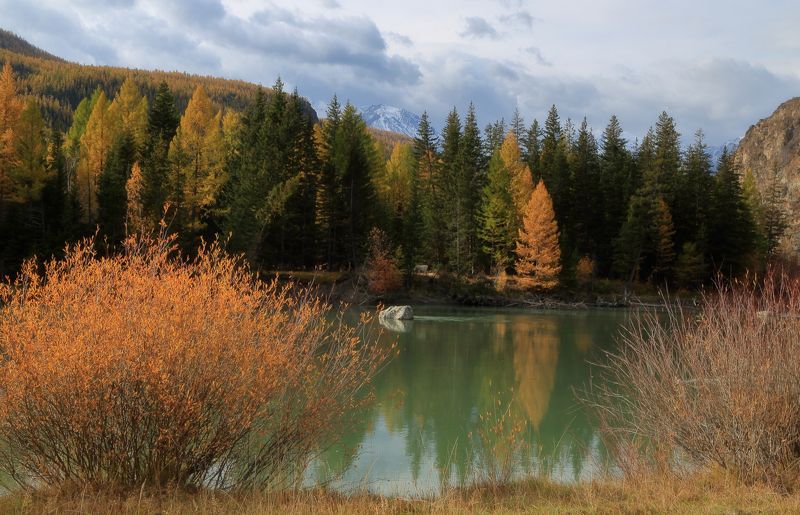 тихая заводь фото превью