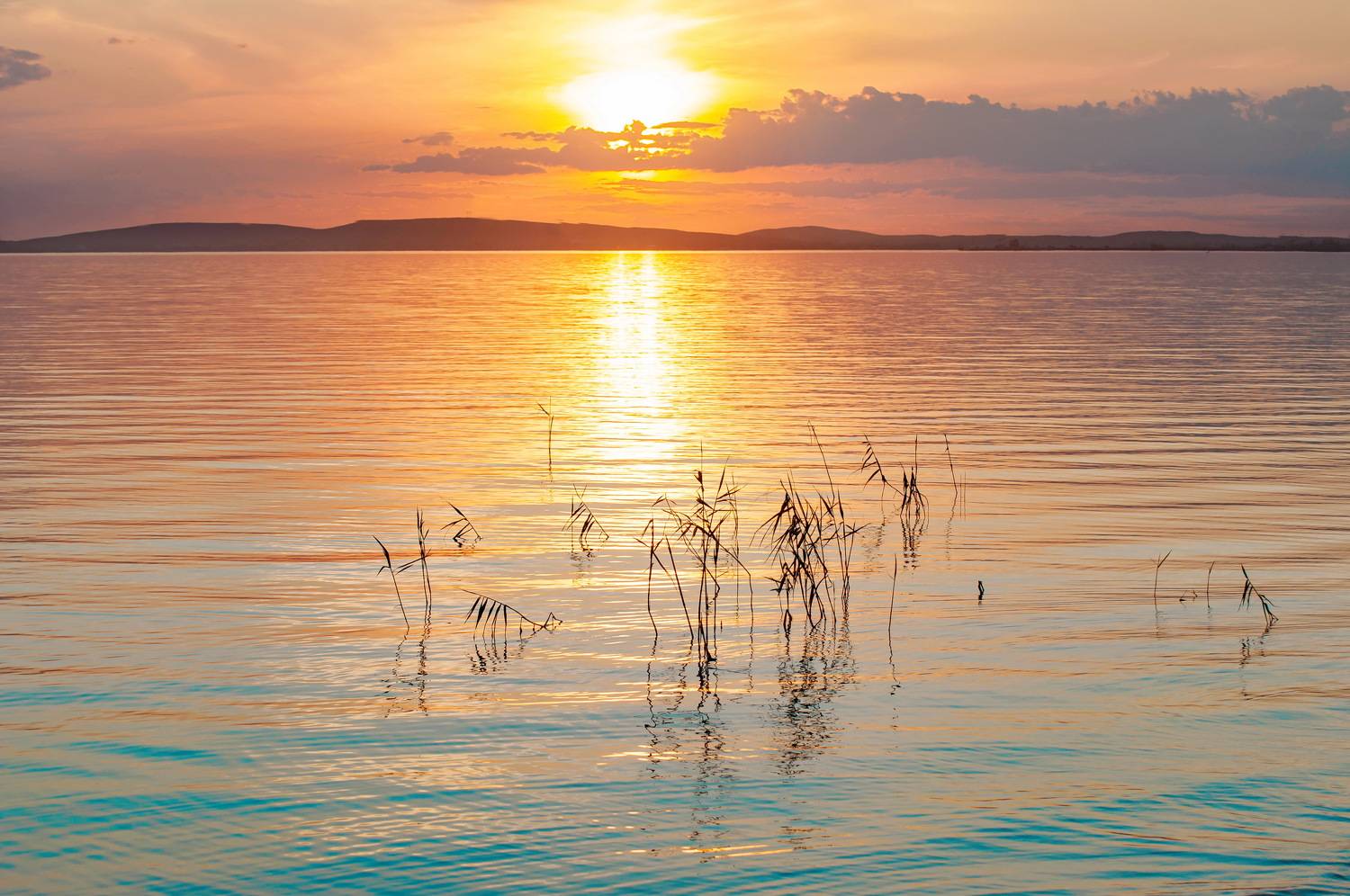 закат, Евгений Дроботенко