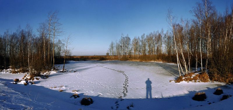 предзимье.утро.низкий свет.  фото превью