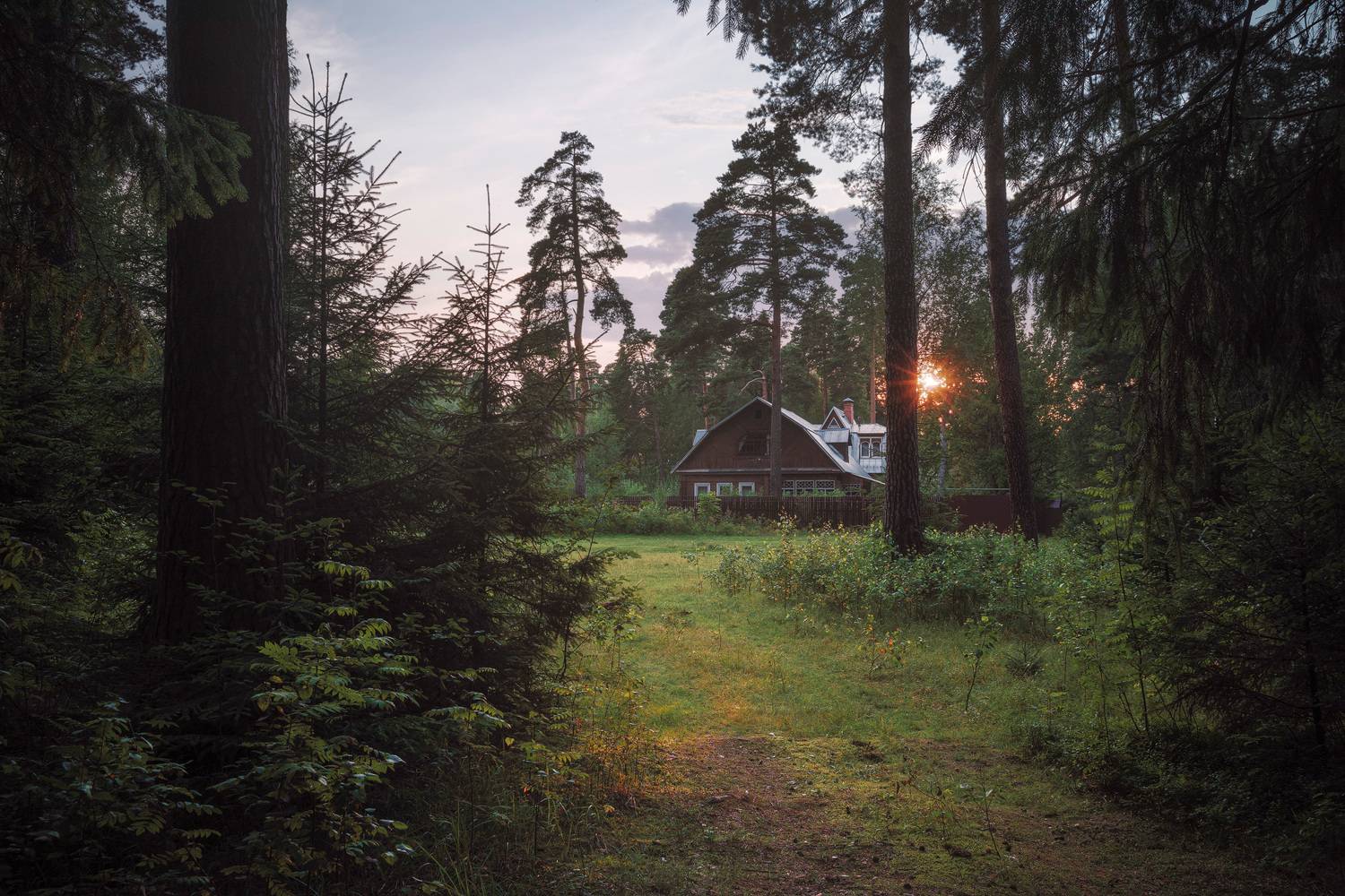 лес, деревья, листва, домик, Валерий Вождаев