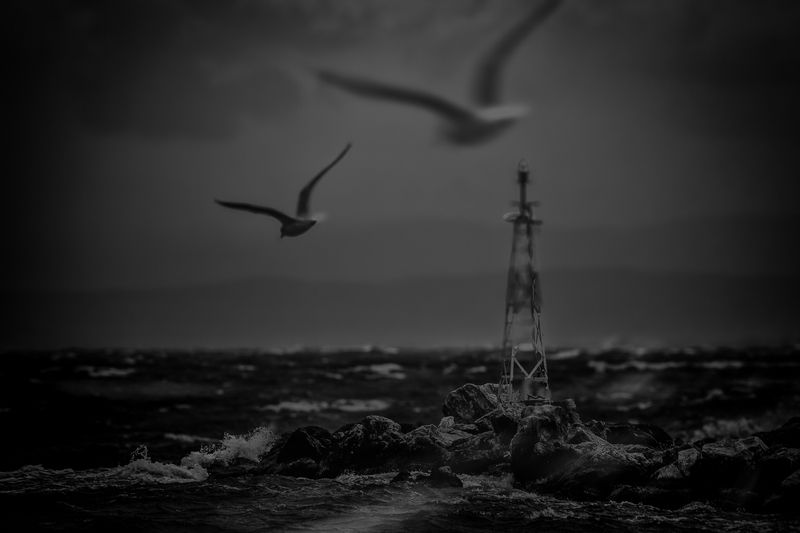 Manita фото превью