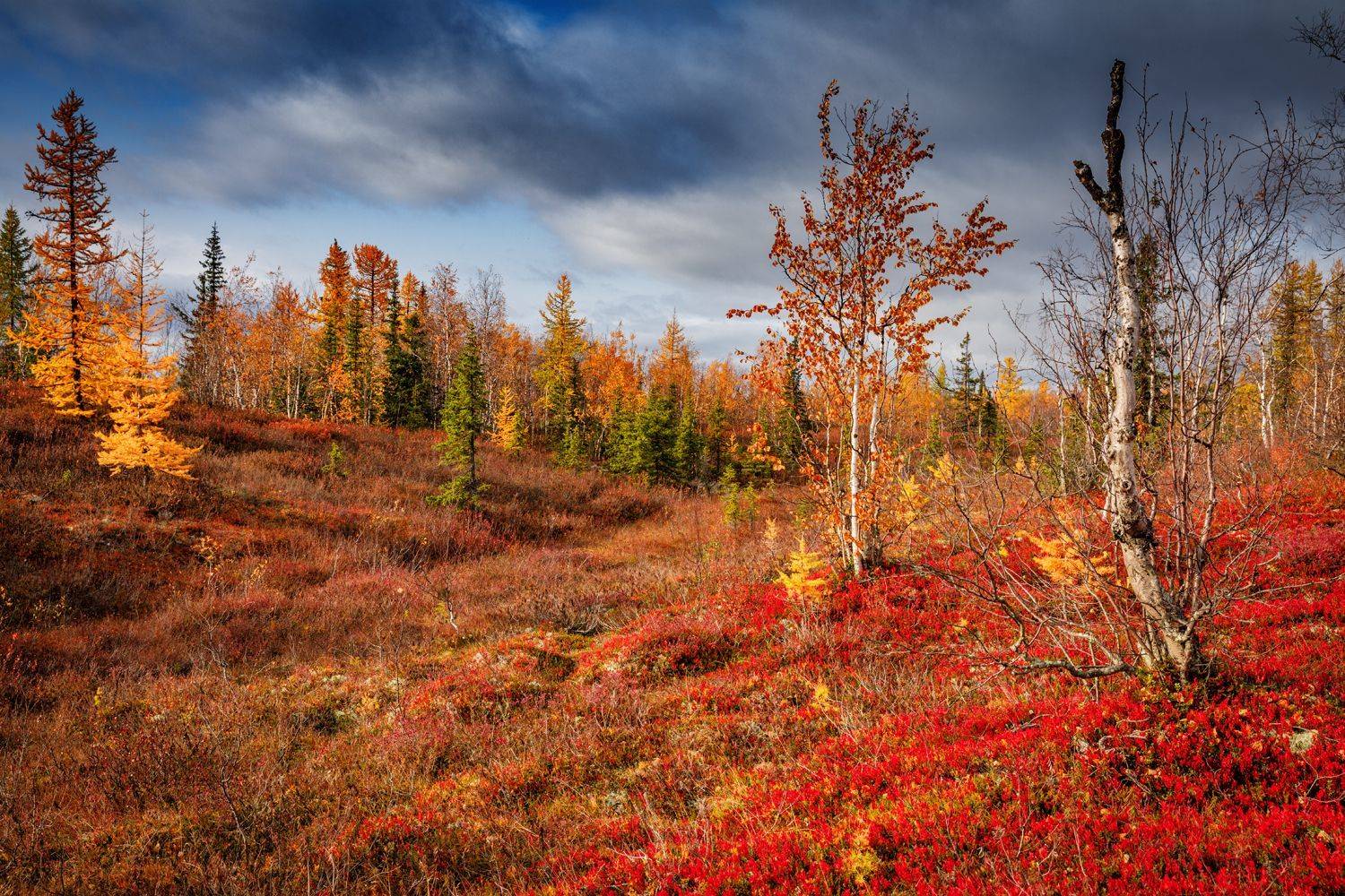 , Евгений Кужилев