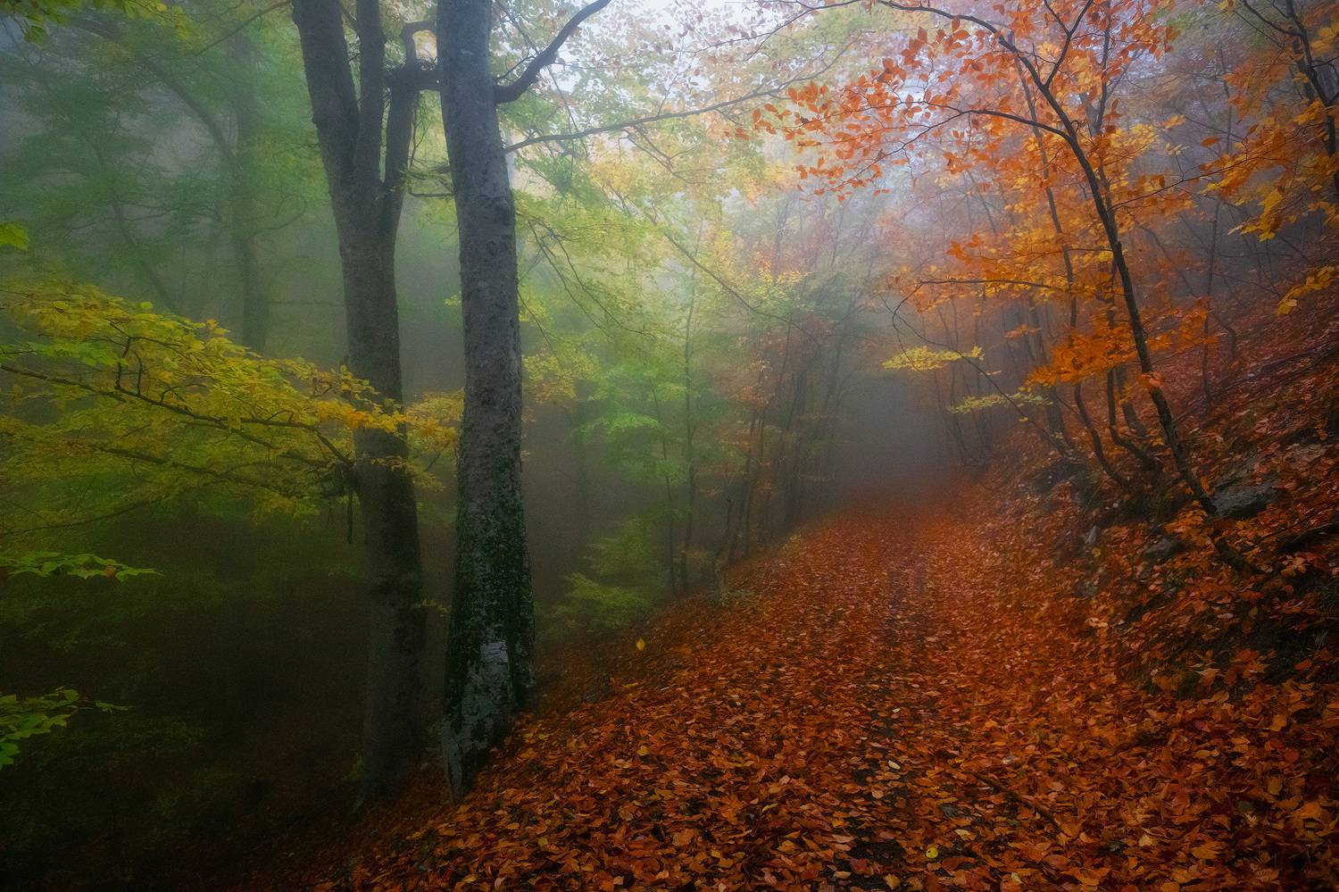 , Костенко Александр