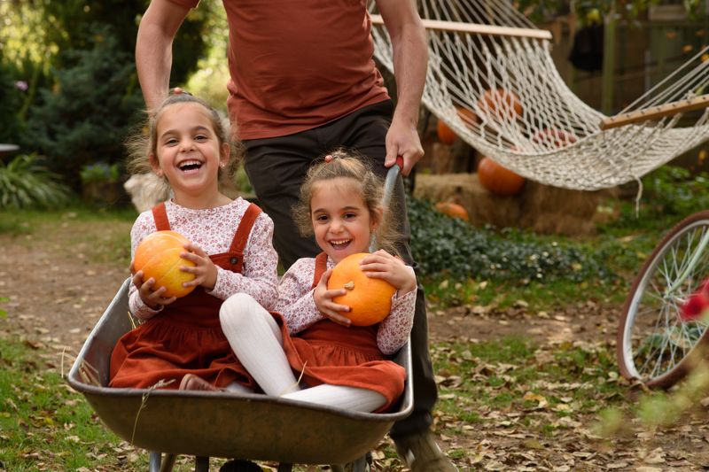 Собираем урожай фото превью
