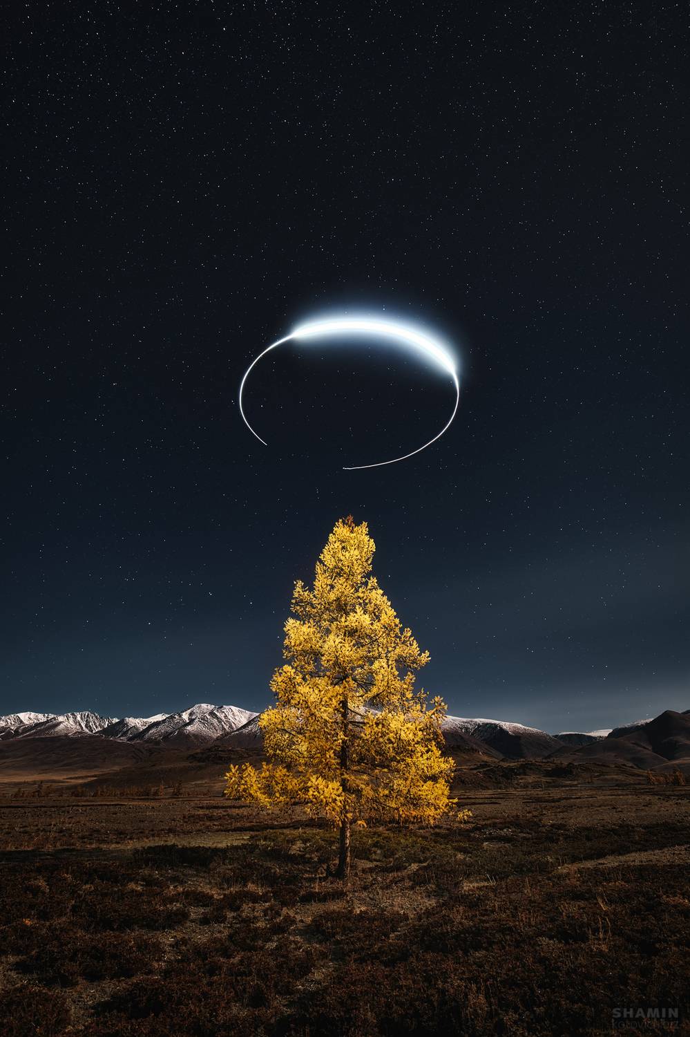 , Константин Шамин