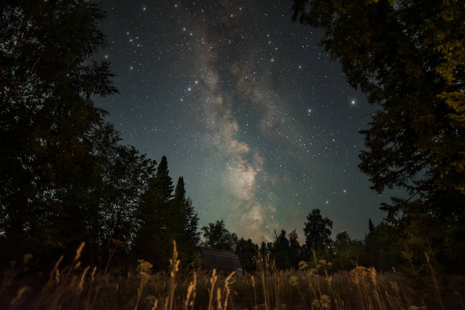астрофотография, астрофото, млечный путь, звездное небо, ночь, астрономия, сибирь, тайга, night, nightphotography, stars, milkyway, longexposure, taiga, Кудашкина Ксения