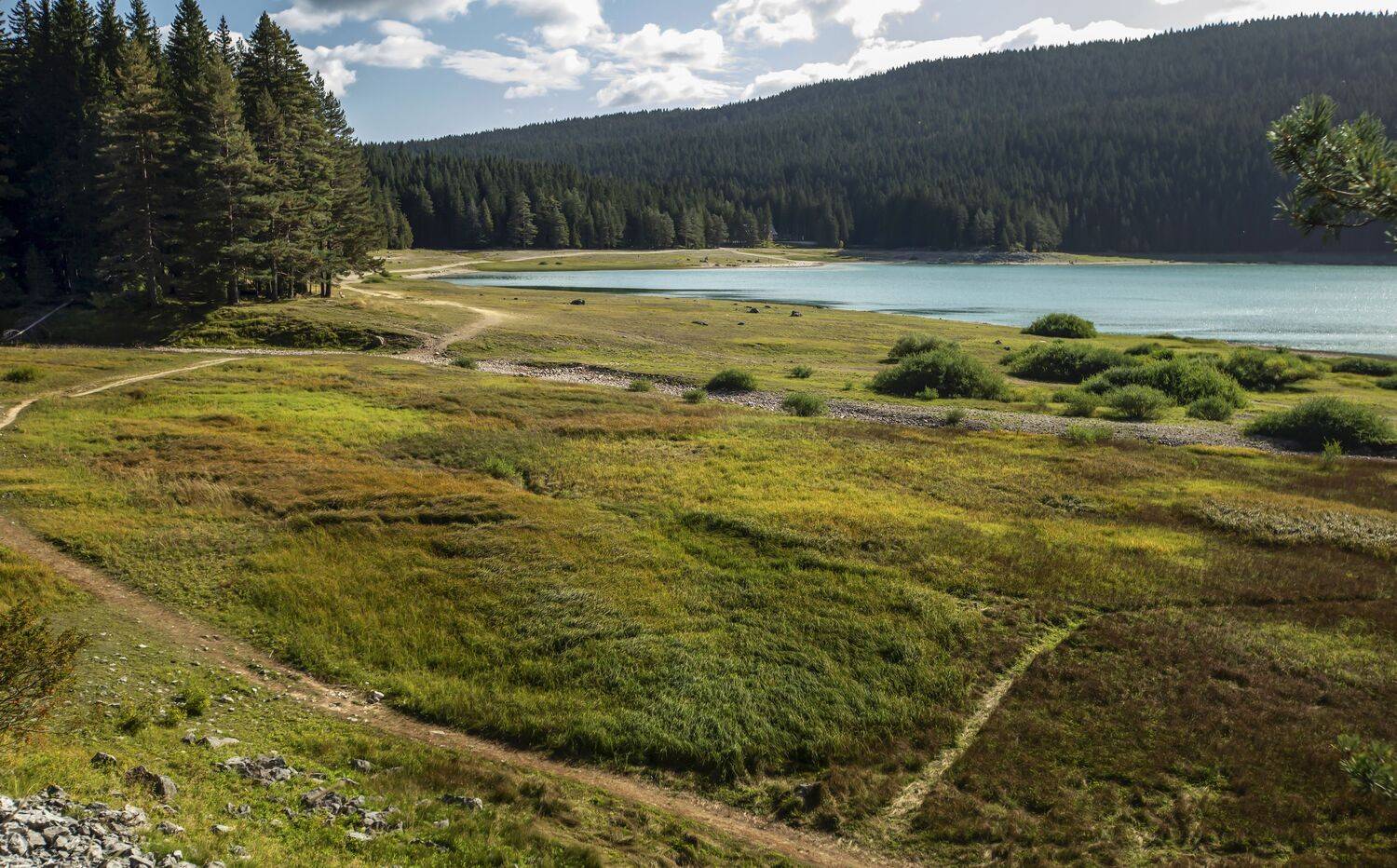 , Валентина Булкина