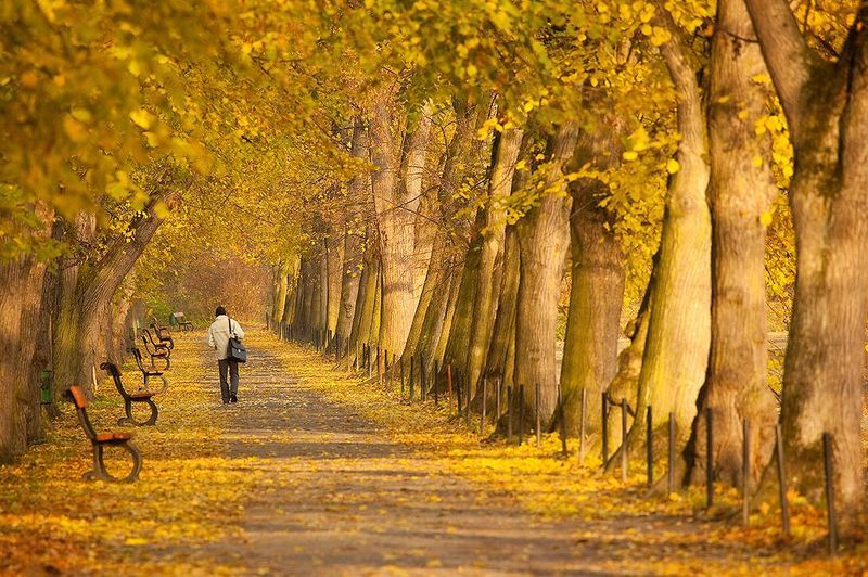 Autumn фото превью