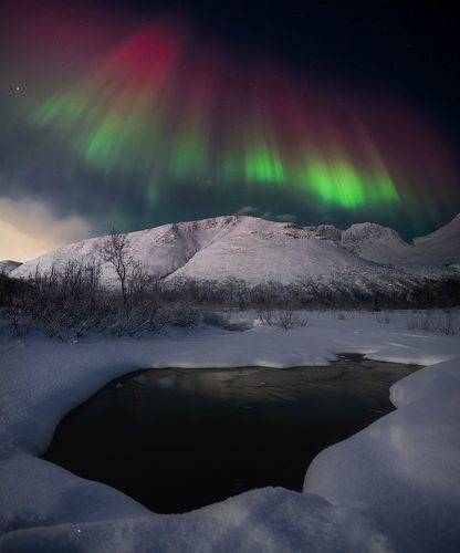 Ночное светило 