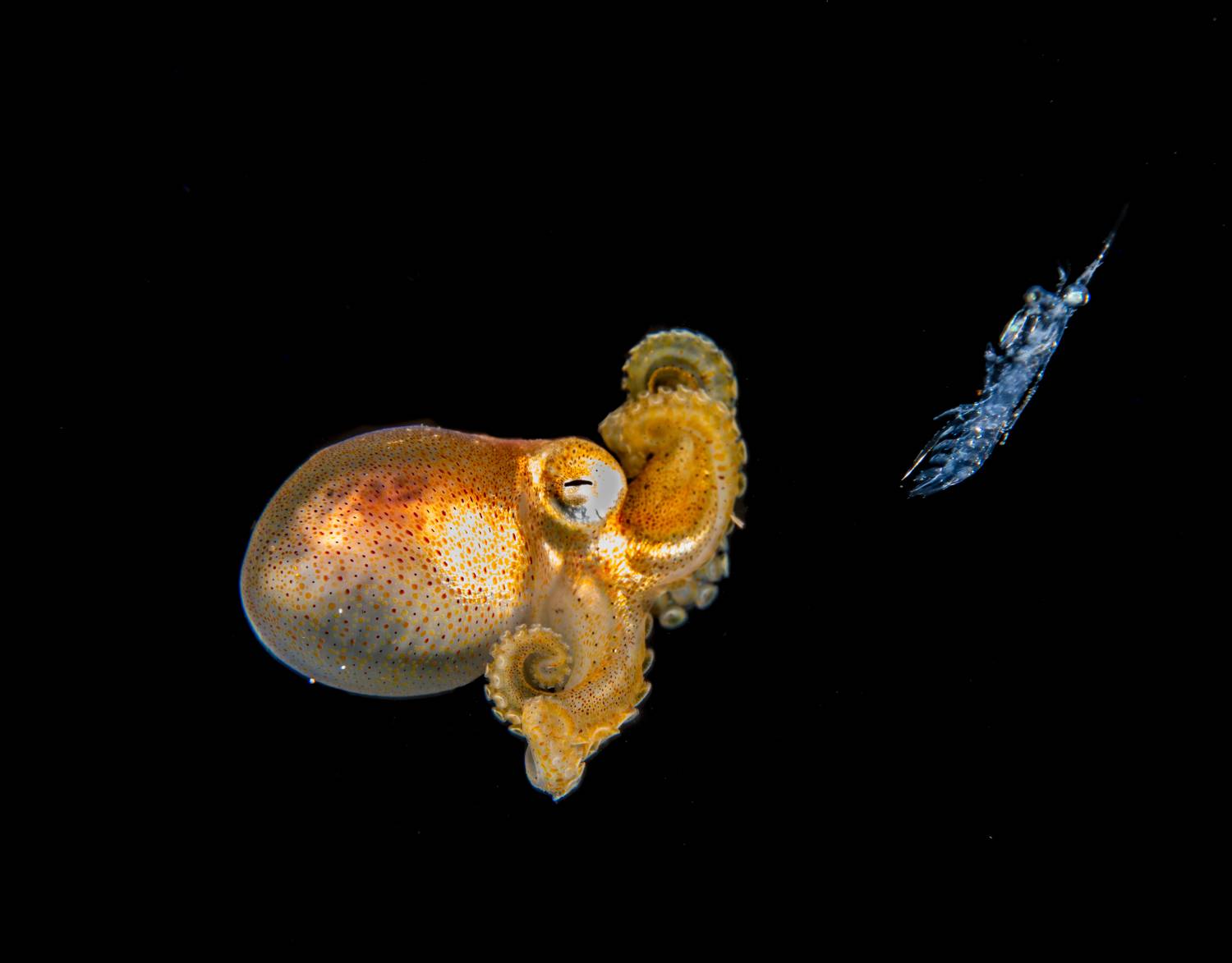 @mluwphotography, Magali Marquez