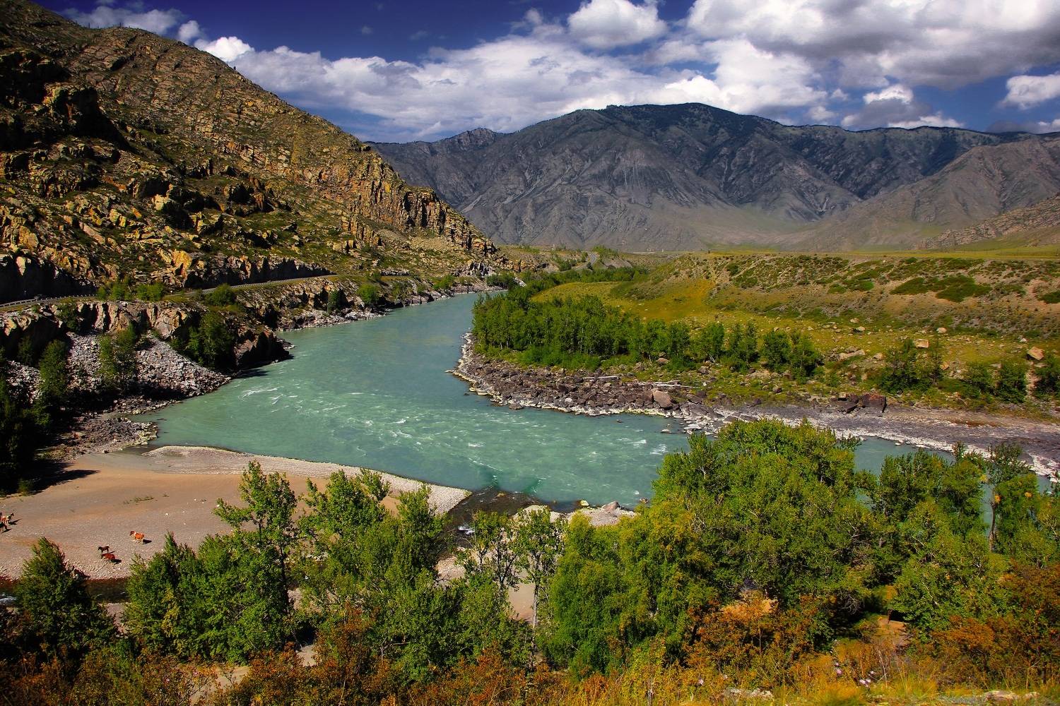 , Каверин Владимир