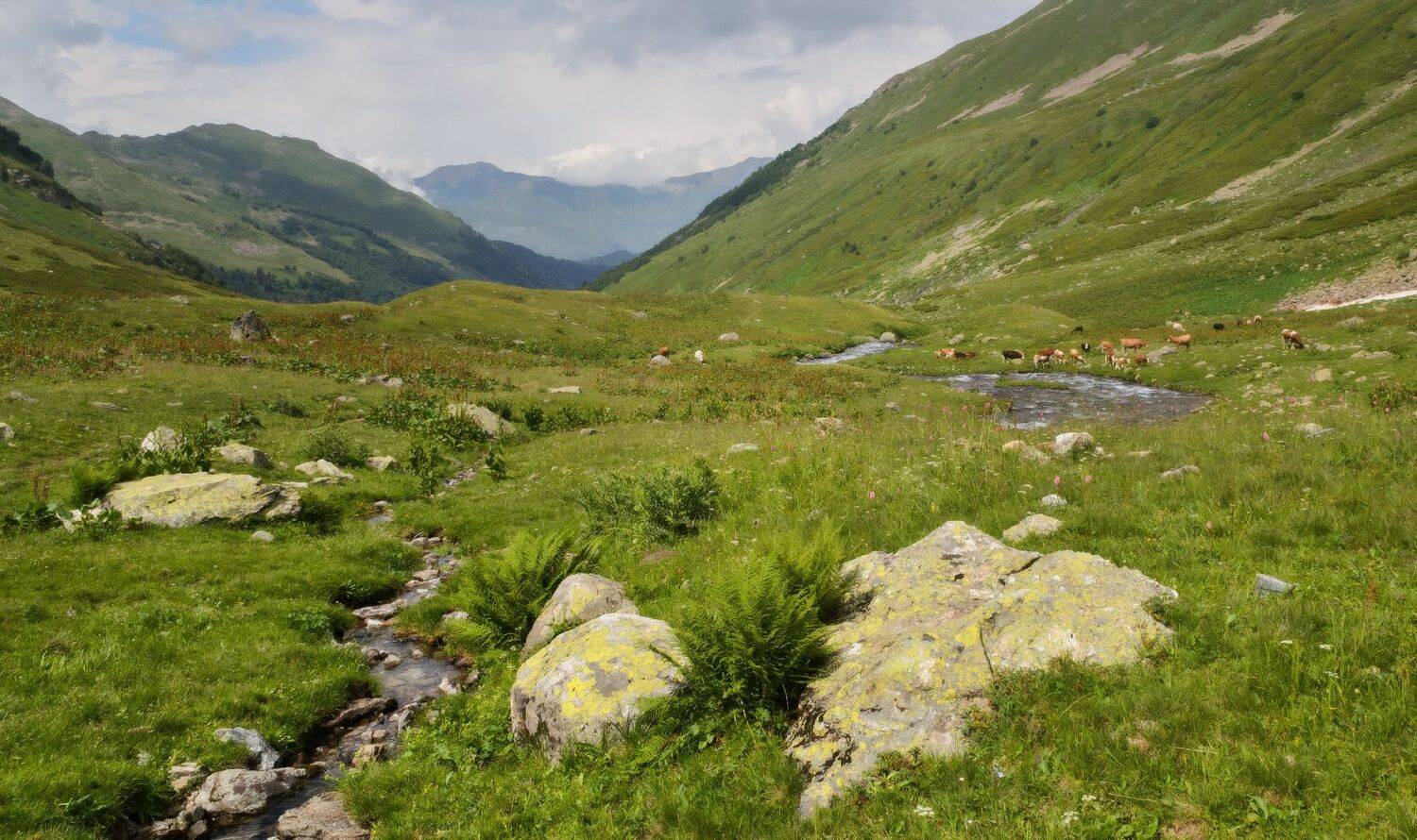 , Лысенко Сергей