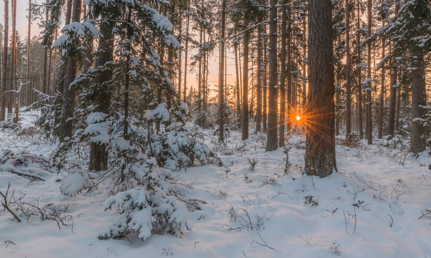 , Руслан Авдевич