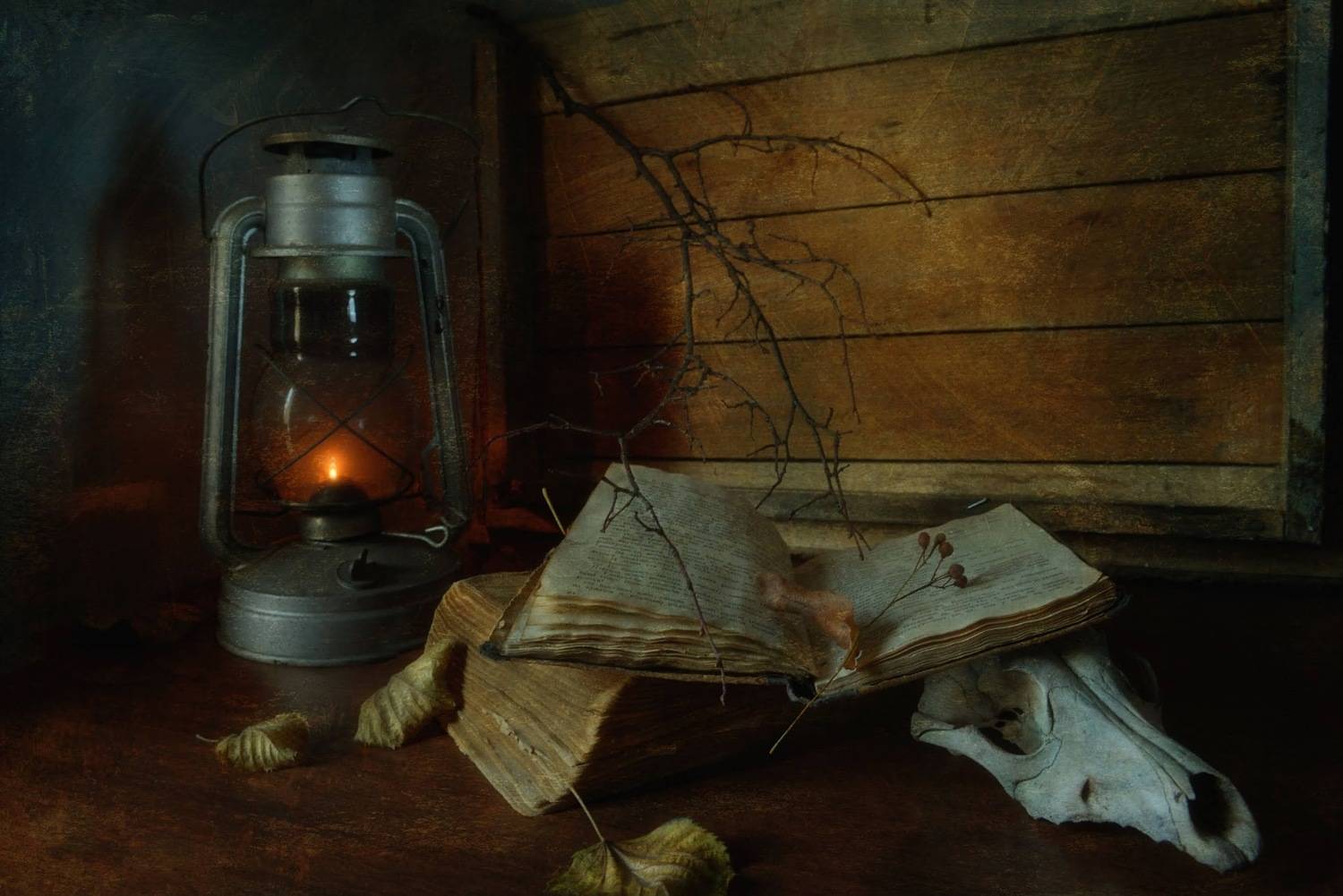 , Ирина Данилова