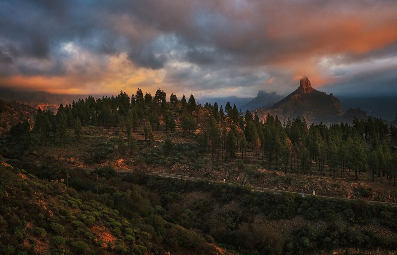 landscape фото превью