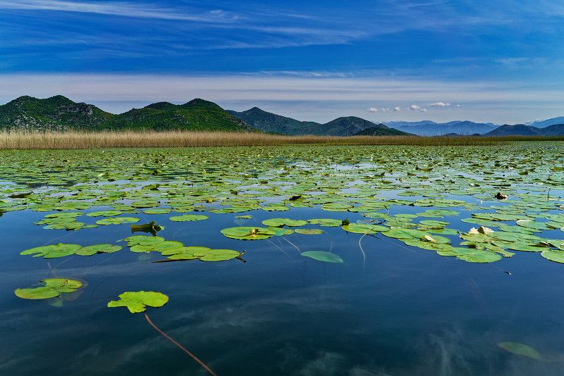 Montenegro фото превью