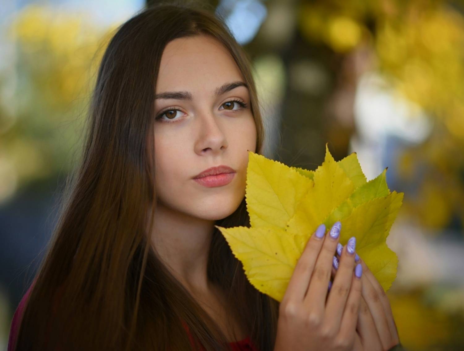 , Герчев Николай