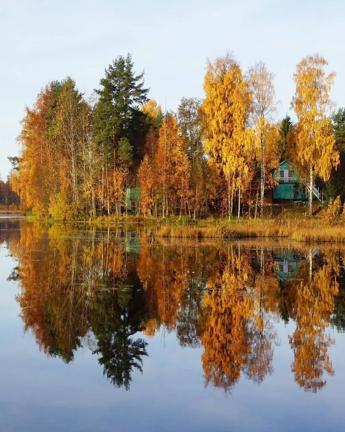 , Петр Косых