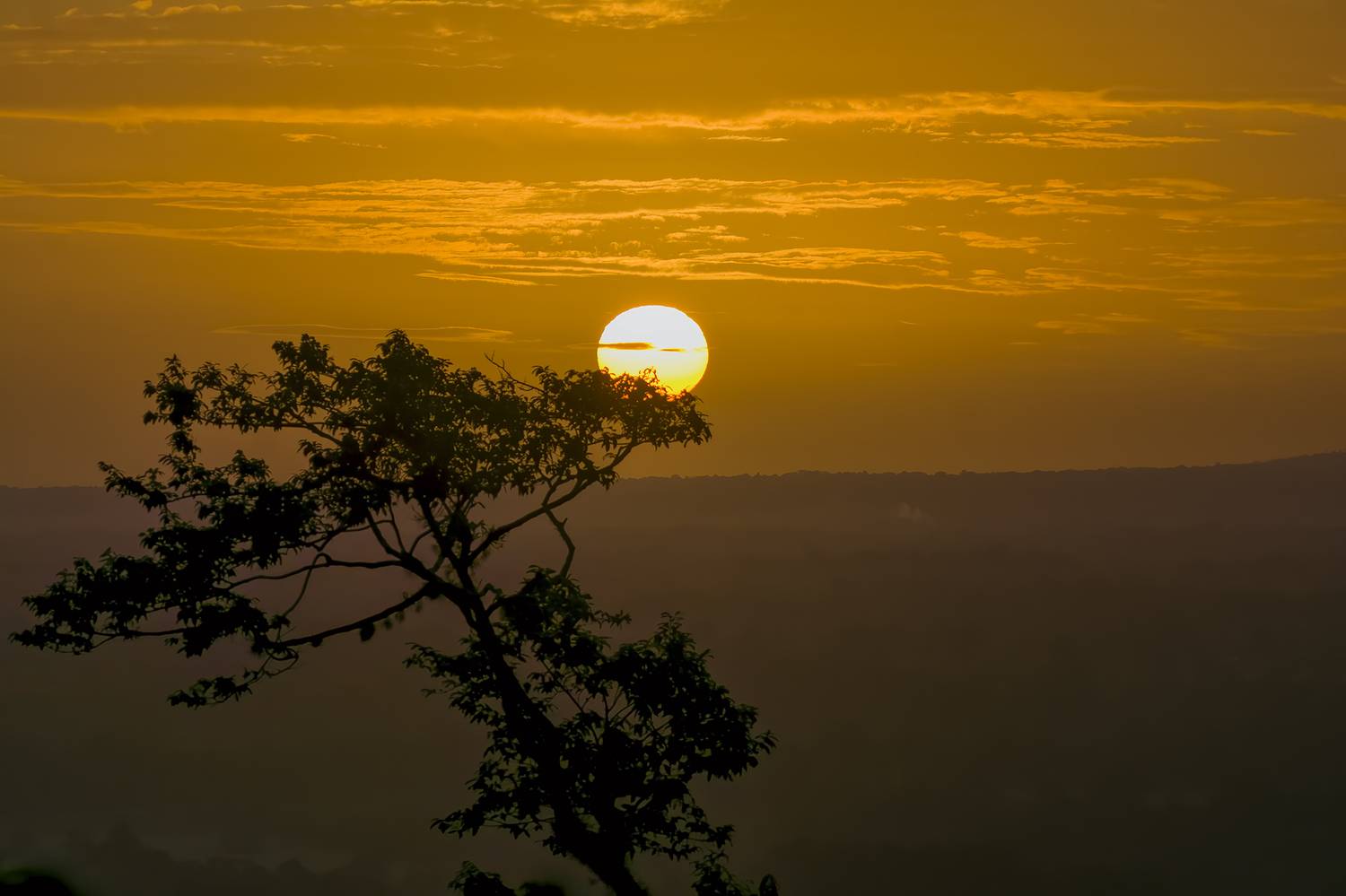 , Burgalin Sequeira Fernando