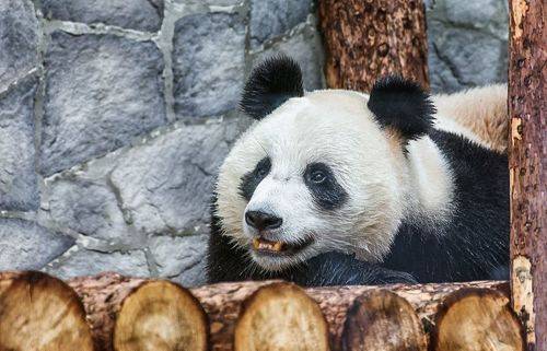 Родители новорождённых..