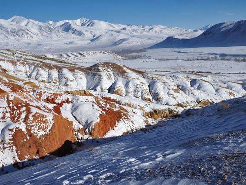 В сахарной глазури