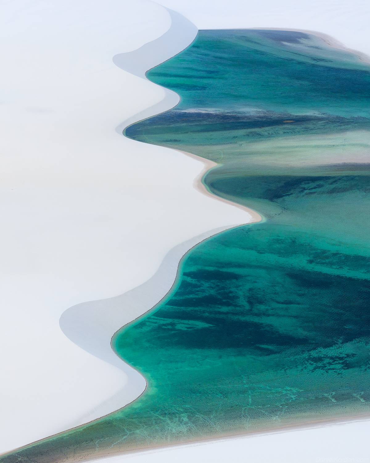 , Даниил Коржонов