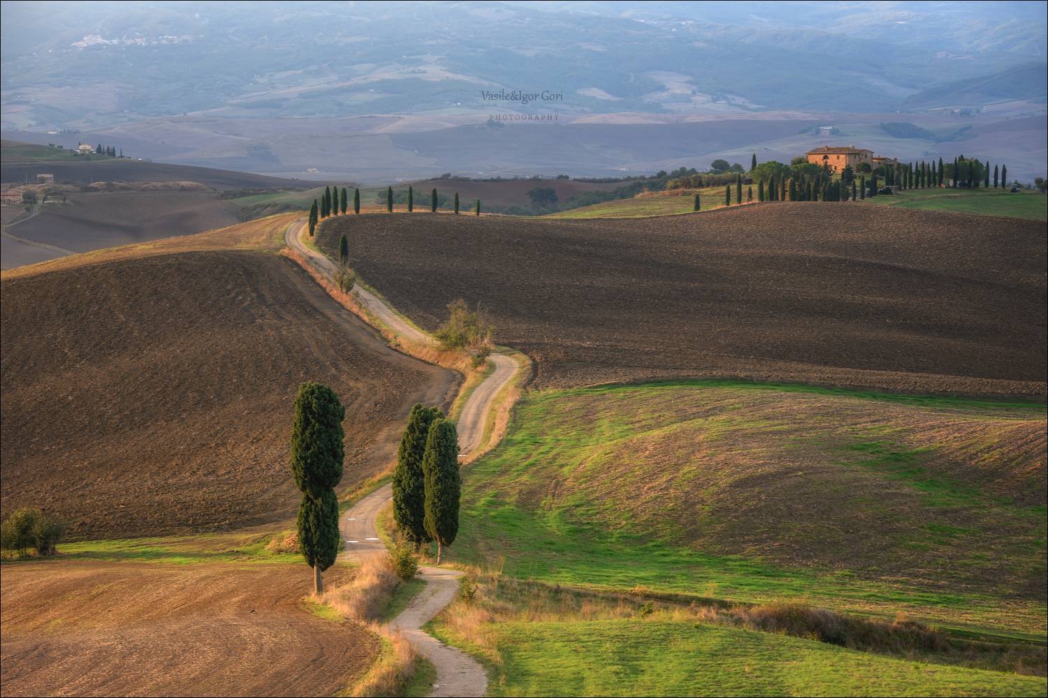 italy,san quirico d\'orcia,italia,италия,тоскана,pienza,кипарис,toscana,осень,tuscany,cipressi,belvedere,пьенца,тени,дорога гладиатора, Гори Василий