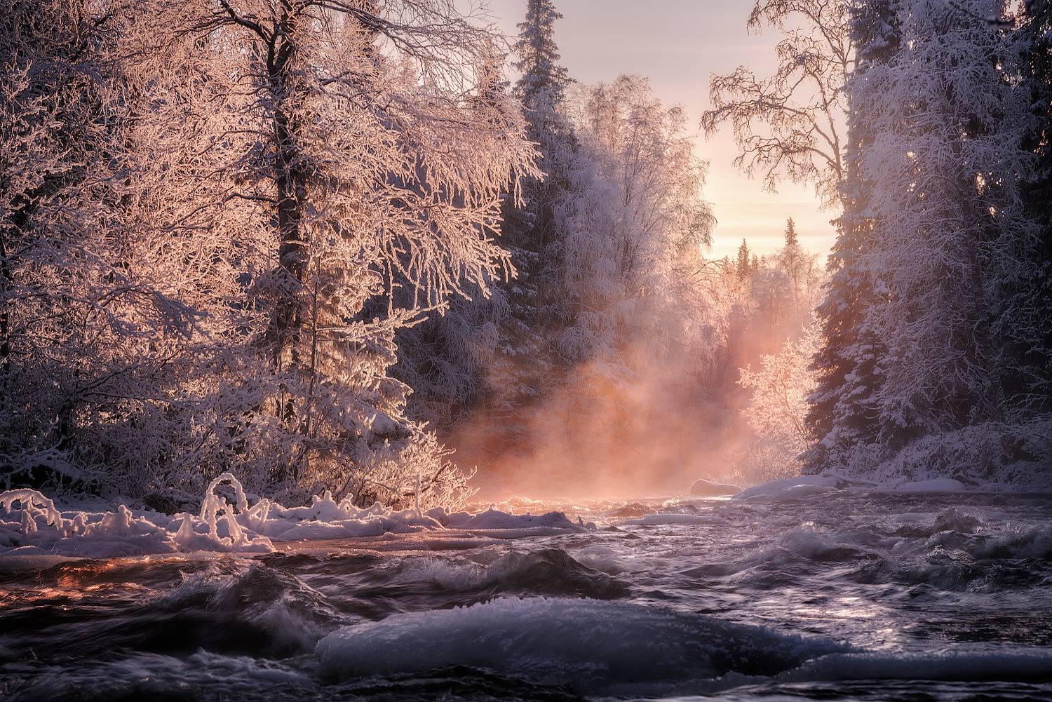 , Сергей Королев