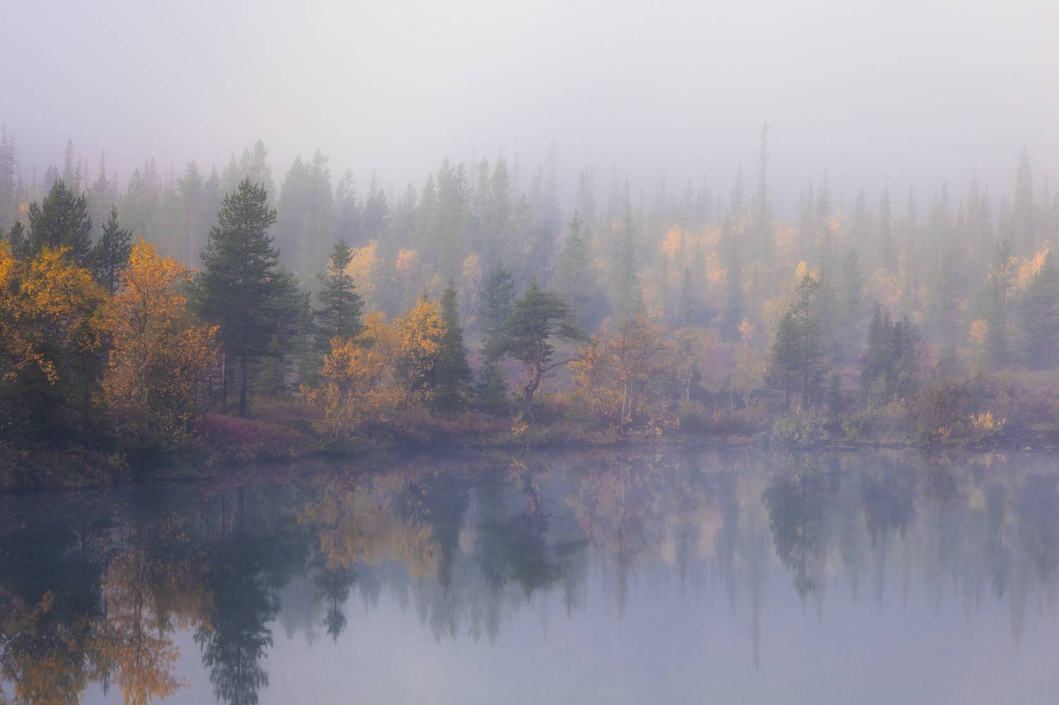 , Столыпин Юрий