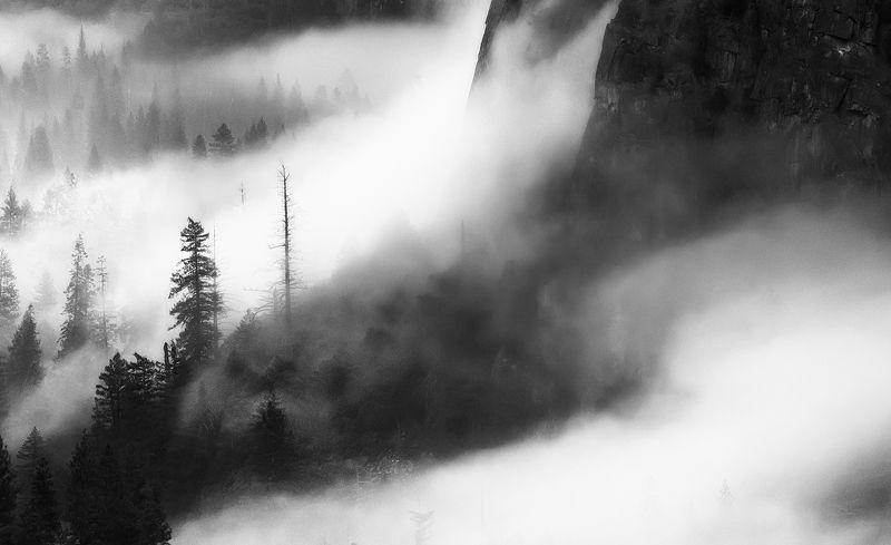 fall in fog фото превью