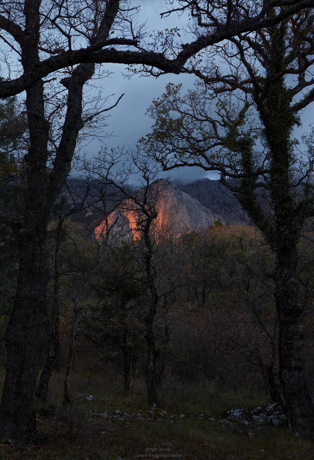 пейзажемагьё, Коваль Дмитр