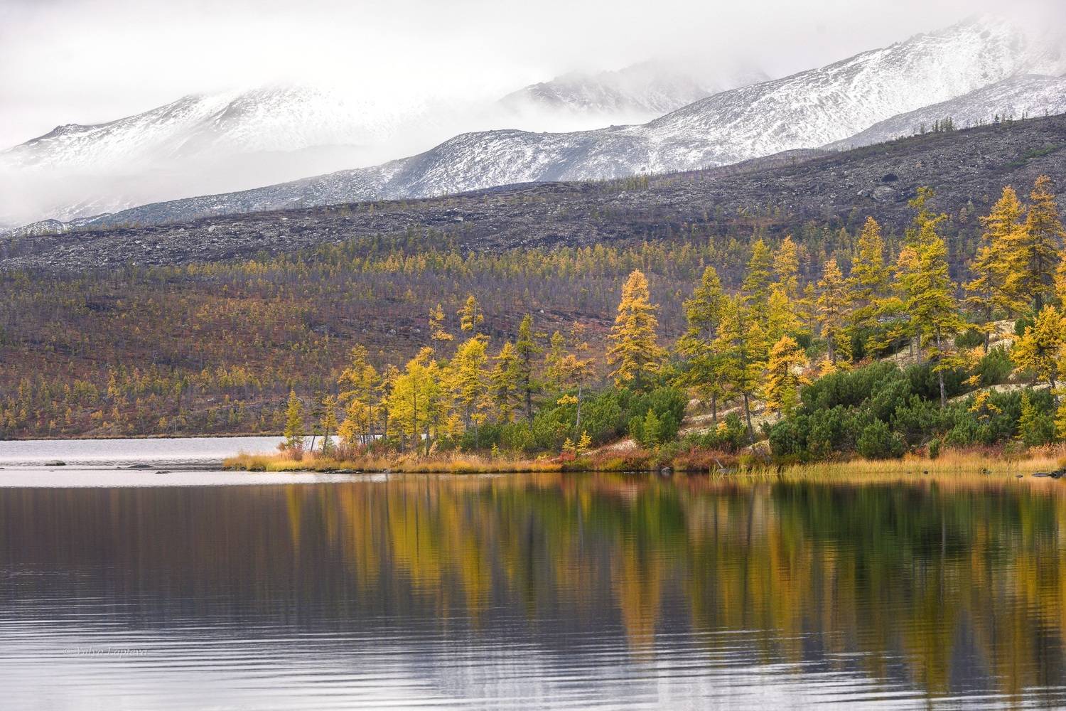 колыма, озеро джека лондона, золотая осень, магаданская область, Юлия Лаптева