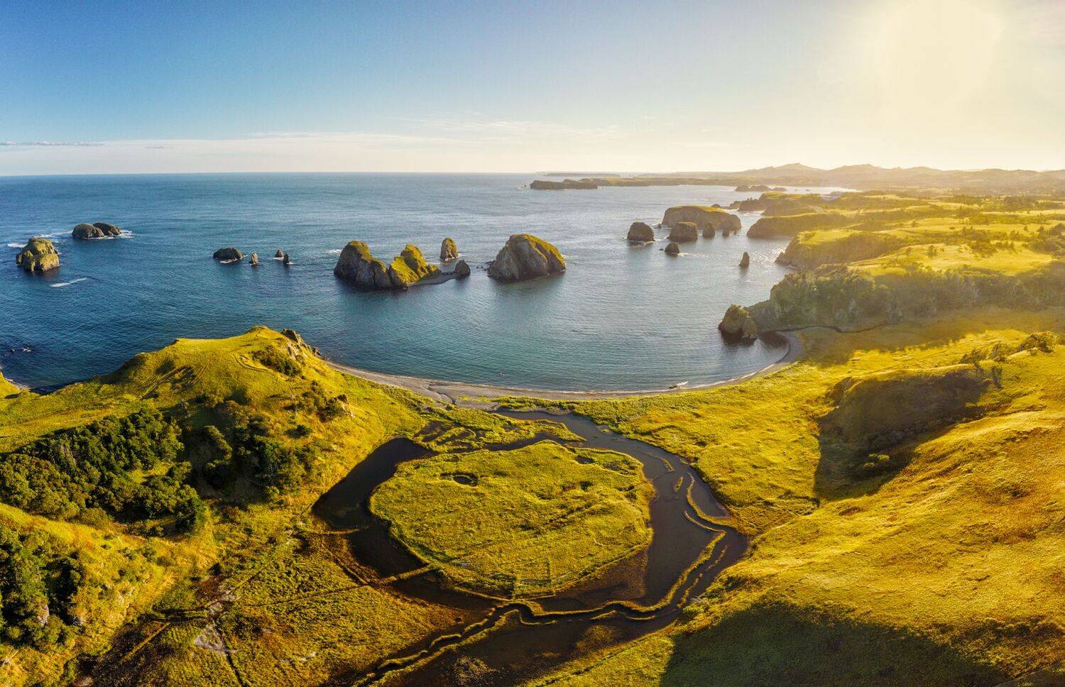 , Лариса Дука