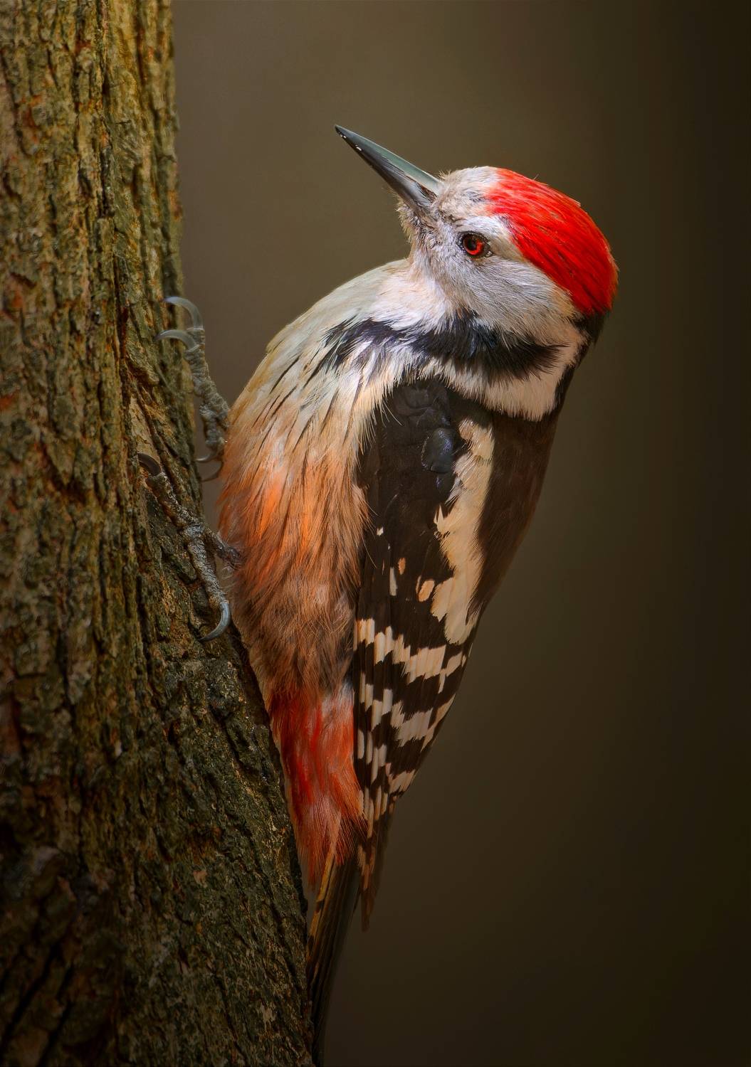 , Никон Александр